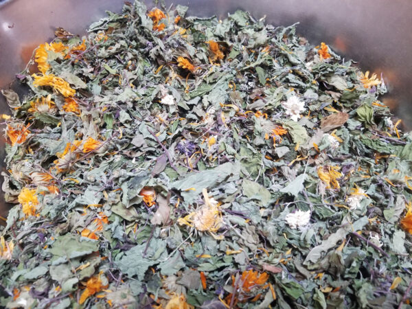 Tisane La promeneuse