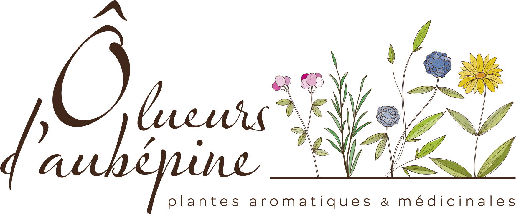 Logo Ô Lueurs d'Aubépine