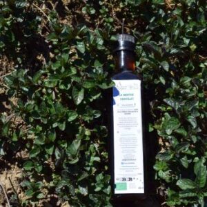 Le Menthe chocolat