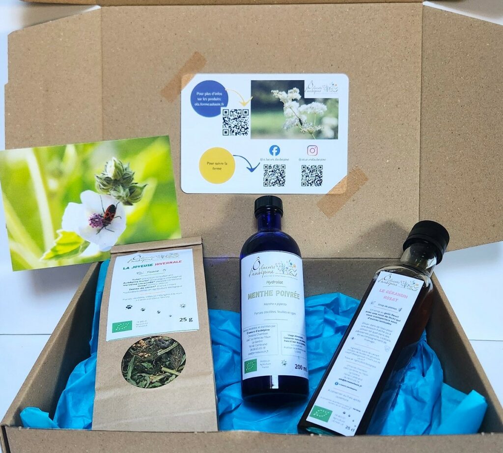 Coffret cadeau sirop + tisane + hydrolat