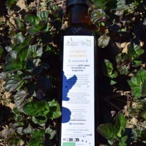 Le Menthe Bergamote